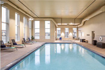 Indoor saltwater pool & spa